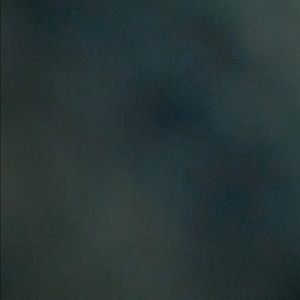 Meet your Posher, Shea